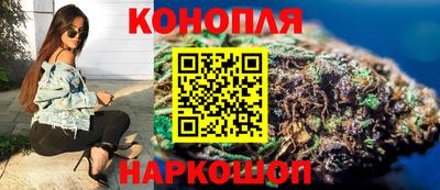 гидропоника Пугачёв