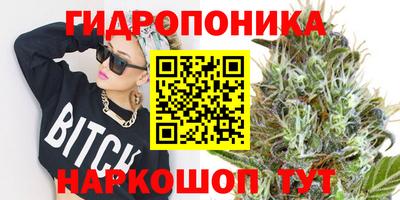 гидропоника Пугачёв