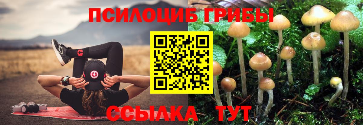 МЕФ Псков
