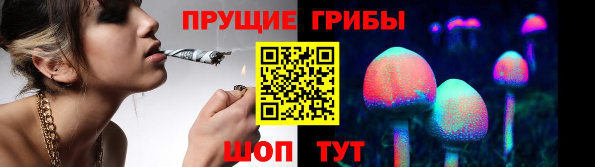 Псилоцибиновые грибы мицелий Псков